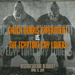 The Chuck Norris Experiment : Chuck Norris Experiment Vs. The Egyptian Gay Lovers